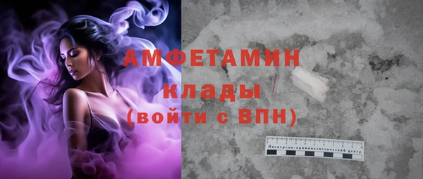 крисы Абаза