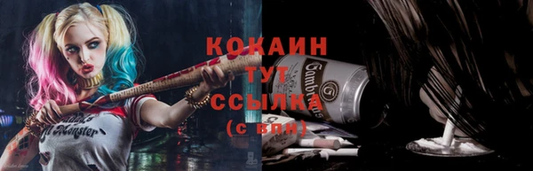шишки Магадан