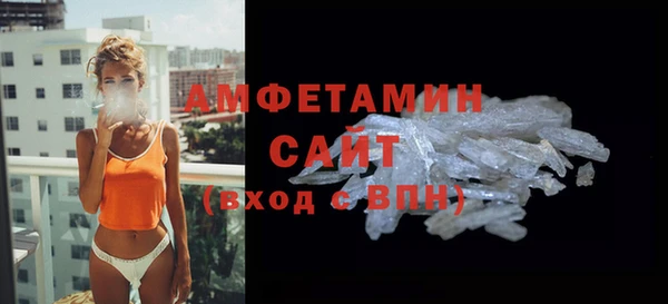 крисы Абаза