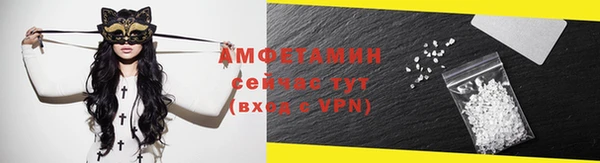 прущие грибы Горно-Алтайск