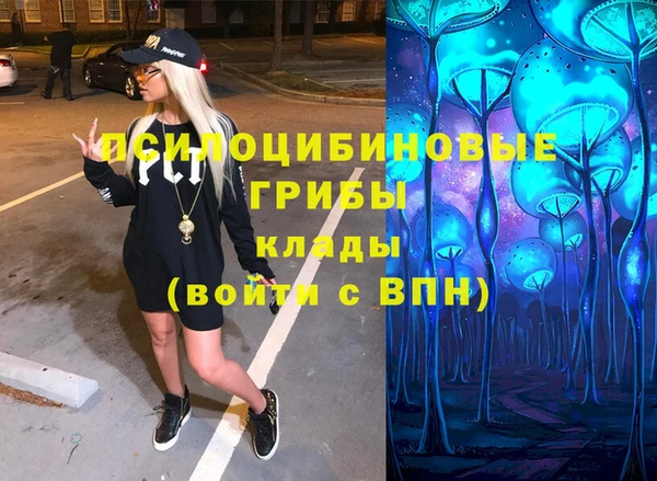 шишки Магадан