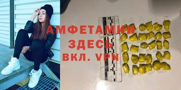 крисы Абаза